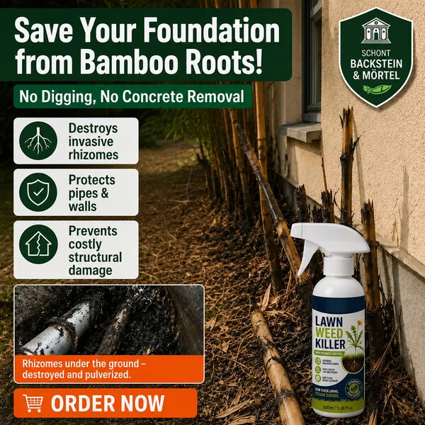 Targeted Weed Control Spray – Ready-to-Use Garden & Path Treatment