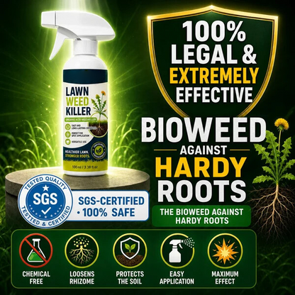 Targeted Weed Control Spray – Ready-to-Use Garden & Path Treatment