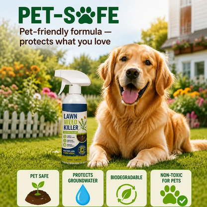 Targeted Weed Control Spray – Ready-to-Use Garden & Path Treatment